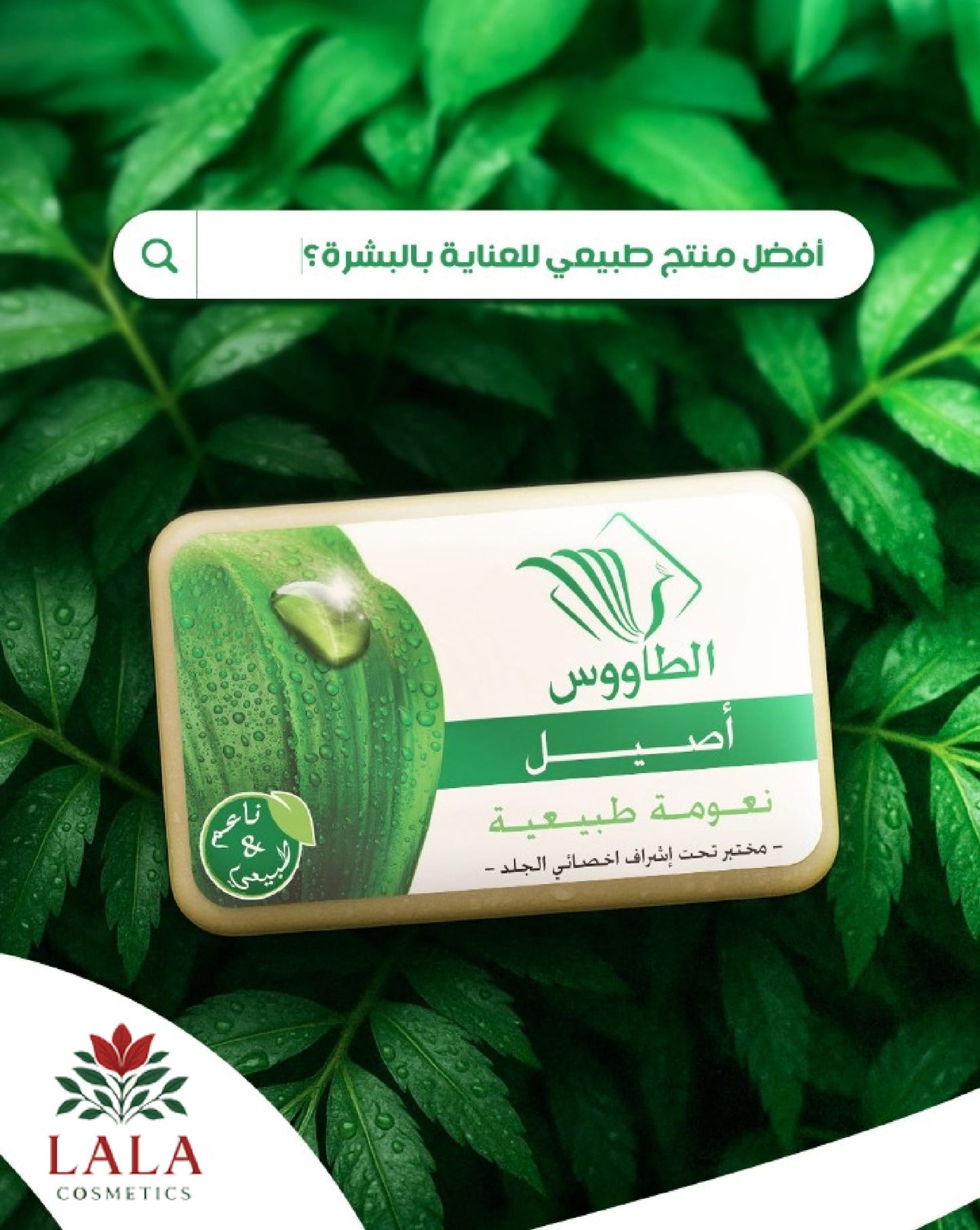 TAOUS Authentic Soap Bar 4x125g